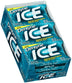 DENTYNE ICE WINTER CHILL