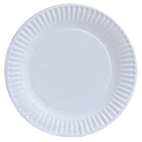 9" PAPER PLATES 100CT