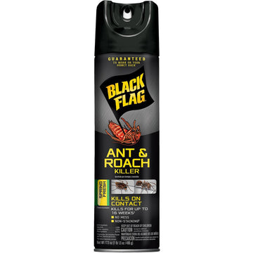 BLACK FLAG ANT/ ROACH 17 oz